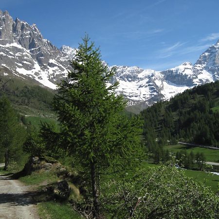 Hotel Meuble Meridiana Valtournenche Eksteriør billede