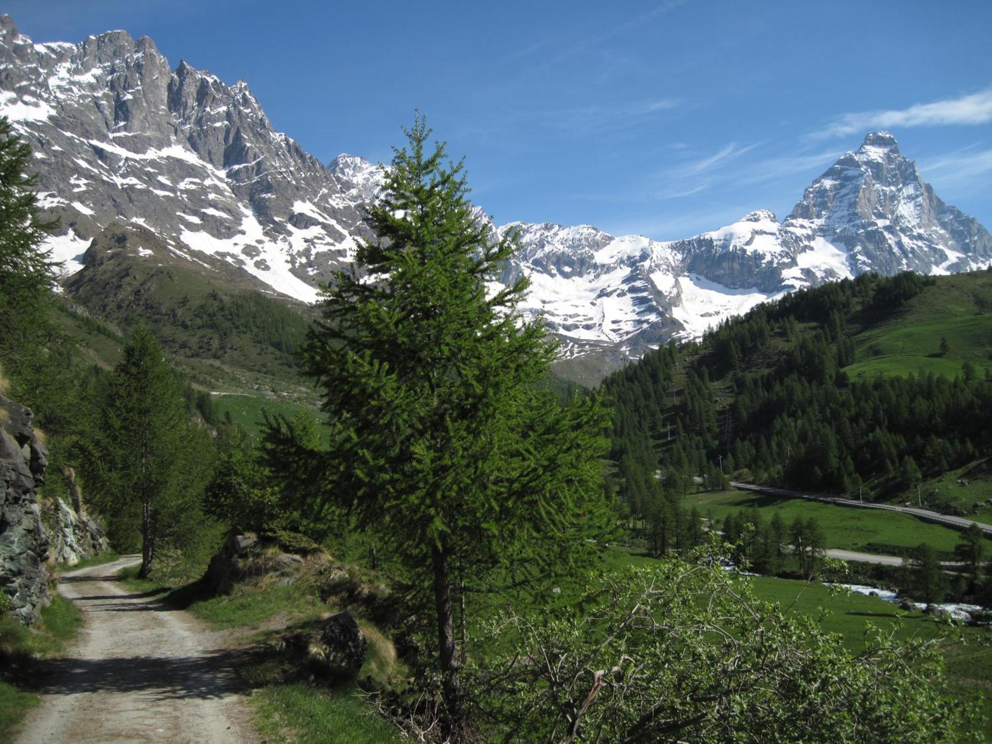 Hotel Meuble Meridiana Valtournenche Eksteriør billede